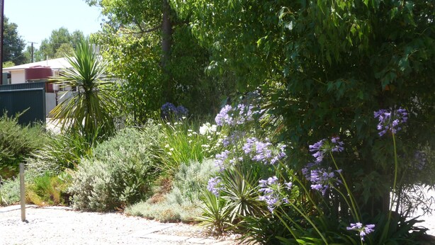 Un jardín con diversas plantas y flores, un sendero y un edificio al fondo.