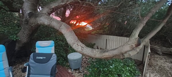 A tree with a large branch bent over, a blue and gray chair, and a small gray container.