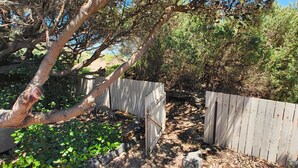Una cerca de madera, un cubo de metal y un árbol en un jardín.