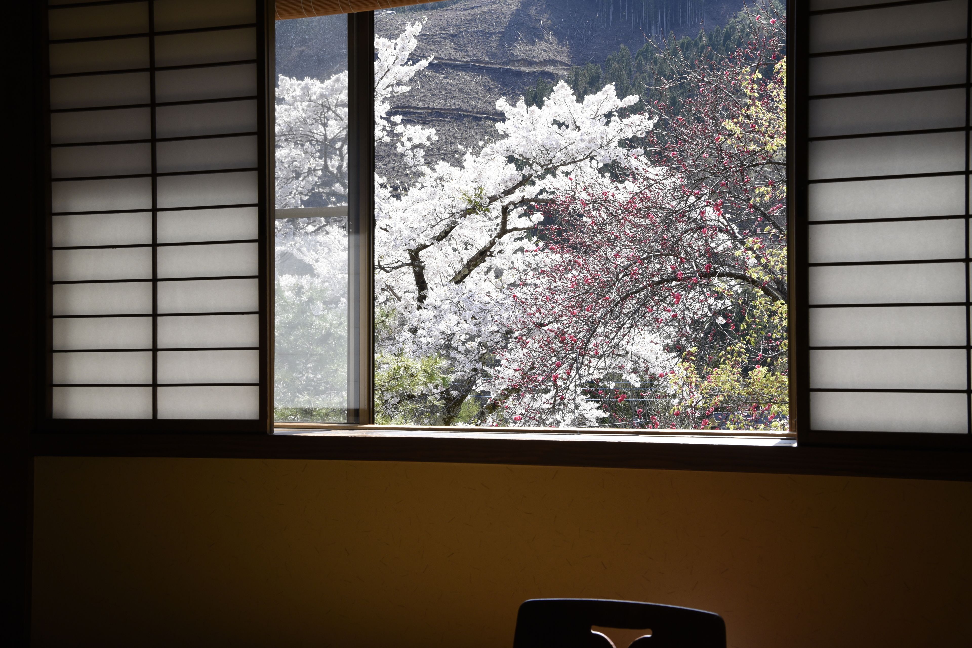 Bộ đồ giường cao cấp, chăn bông, trang trí khác biệt 