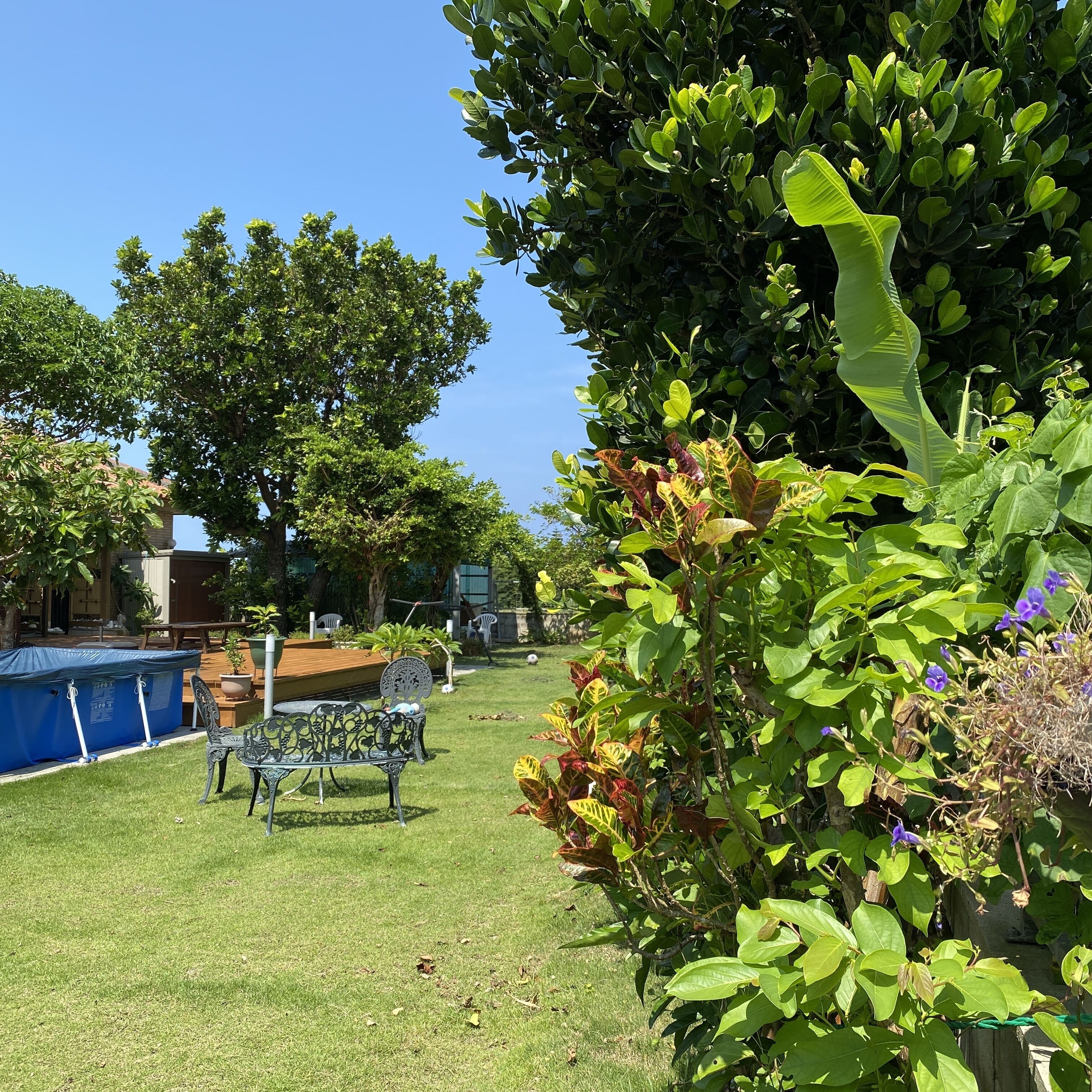 Un patio trasero con piscina, un trampolín cubierto, un banco y diversas plantas.