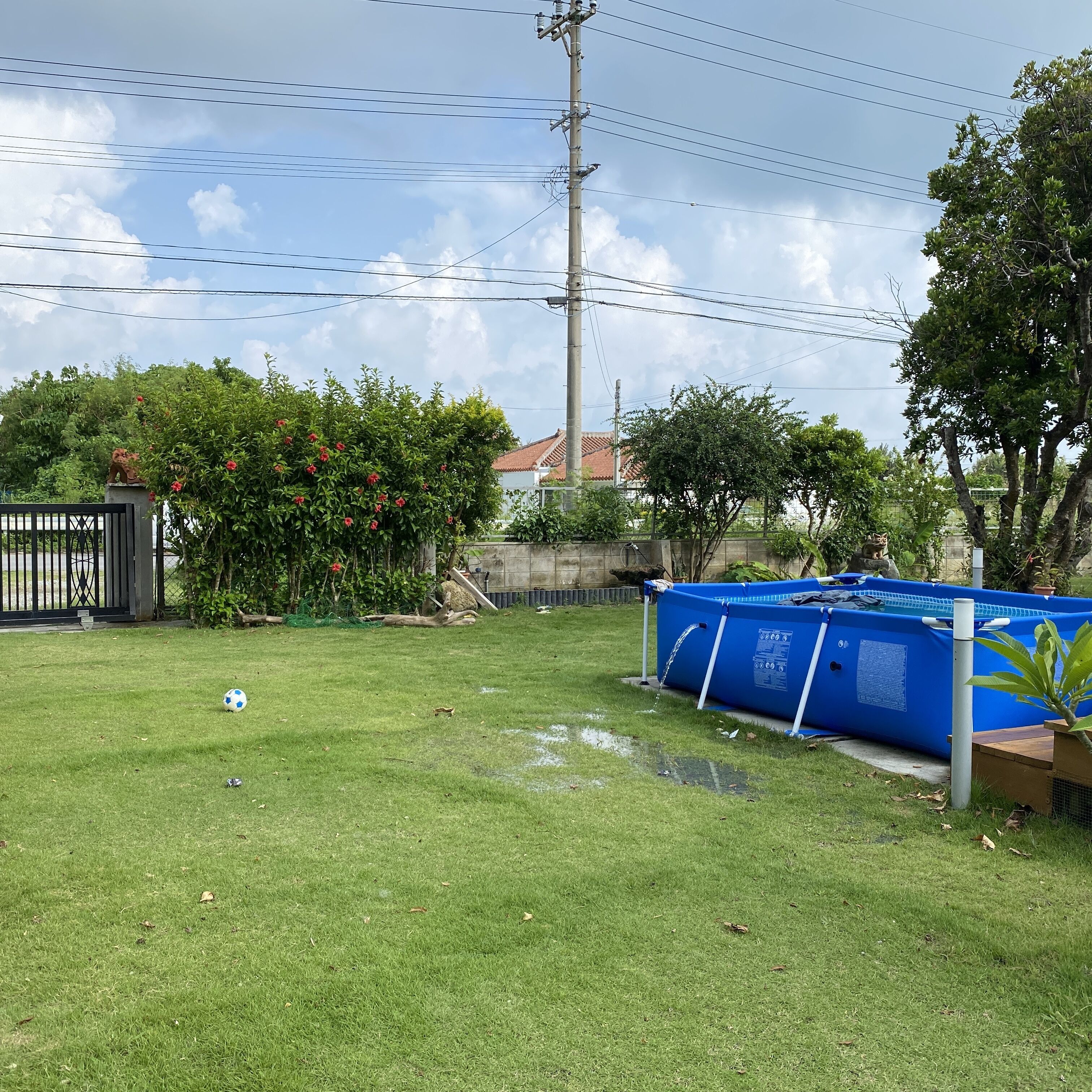 A backyard with a swimming pool, a fenced area, and a statue.