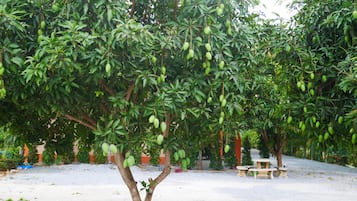 Vista desde la propiedad