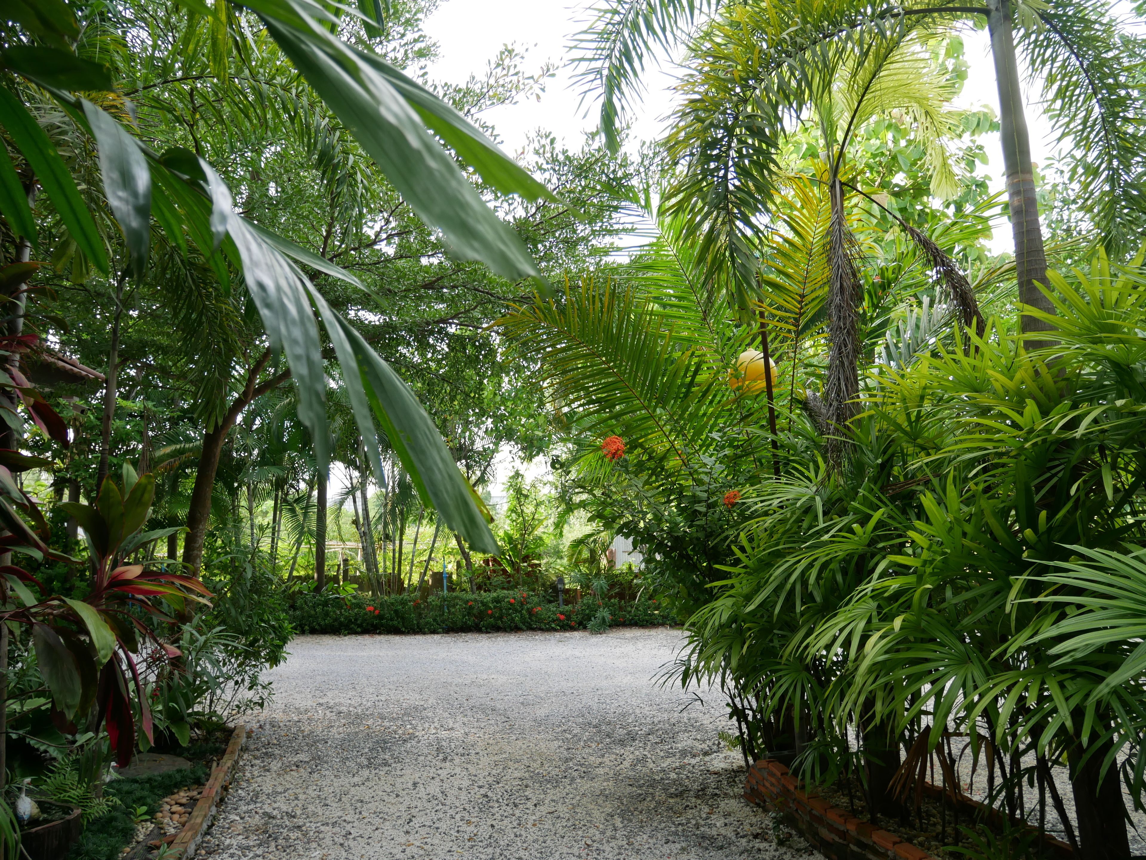 A pathway through a lush garden with various plants and trees.