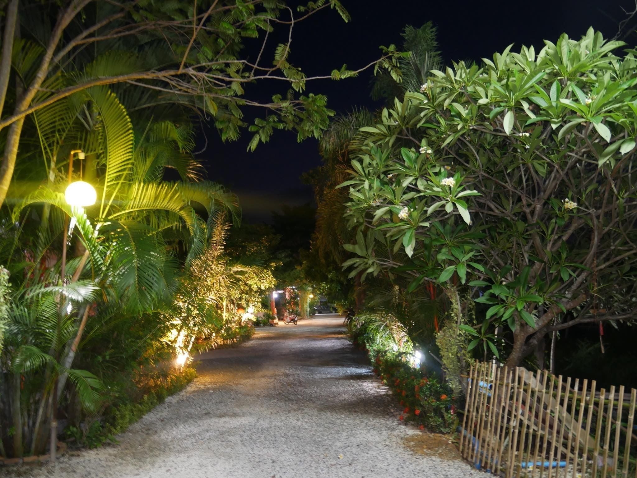 Vue depuis l’hébergement