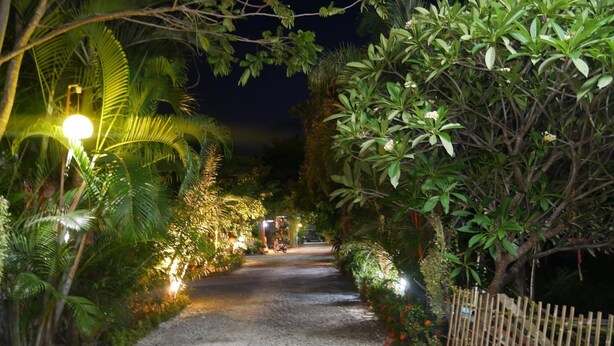 Un sentiero notturno circondato da vegetazione rigogliosa e una recinzione di bambù, che conduce a un edificio illuminato da luci calde.