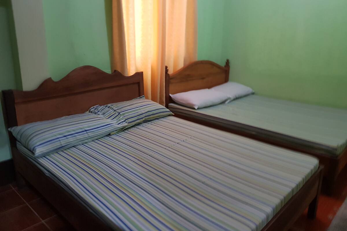 Two single beds with wooden headboards in a room with green walls and a window with curtains.