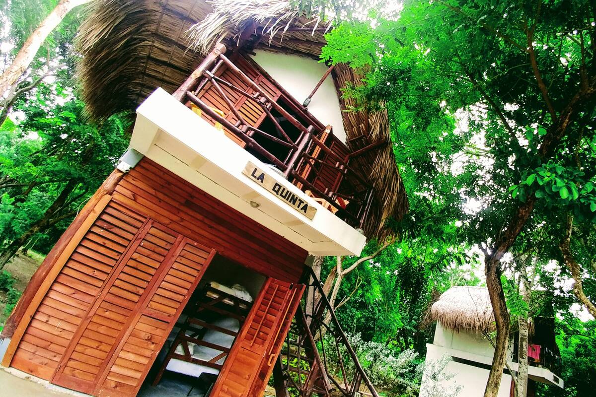Il s’agit d’une structure en bois sur laquelle est apposée une enseigne indiquant « LA QUINTA ». Elle est dotée d’un balcon surmonté d’un toit de chaume et est entourée d’une végétation luxuriante.