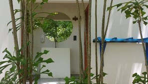 A room with a white wall, a blue-framed window, and a white door. There are green plants in the foreground.