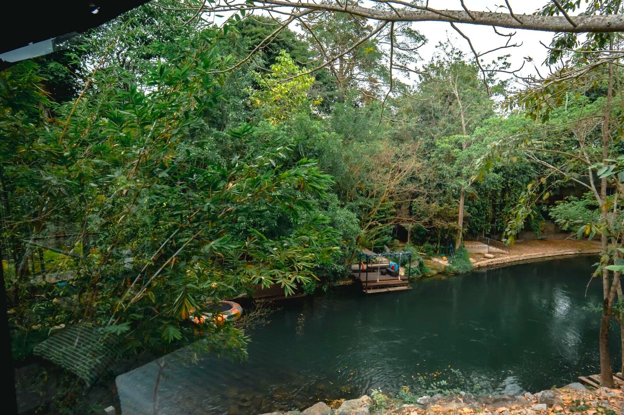 A serene pond surrounded by dense foliage, with a wooden dock and seating area.