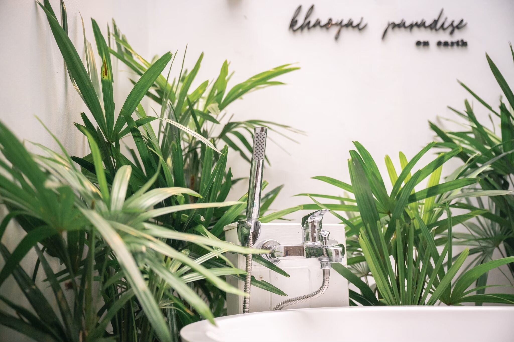 Un baño con lavamanos blanco, grifo cromado y ducha, rodeado de plantas verdes.