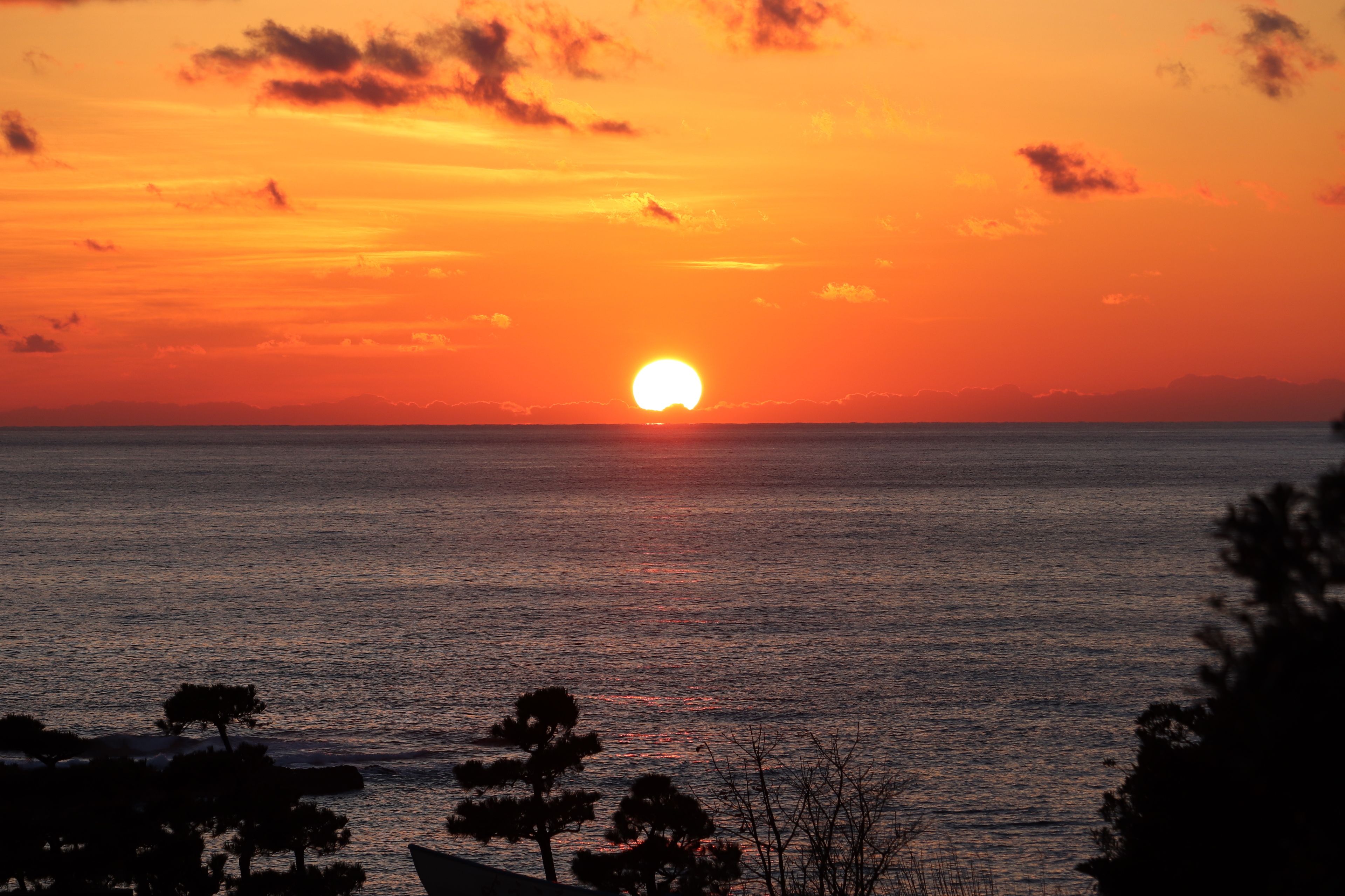 A sunset over a calm sea with silhouettes of trees in the foreground.