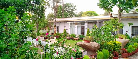 Vista des de l'allotjament