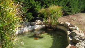 A small pond with rocks and plants around it. - L'Araucaria (Santa Croce Camerina)