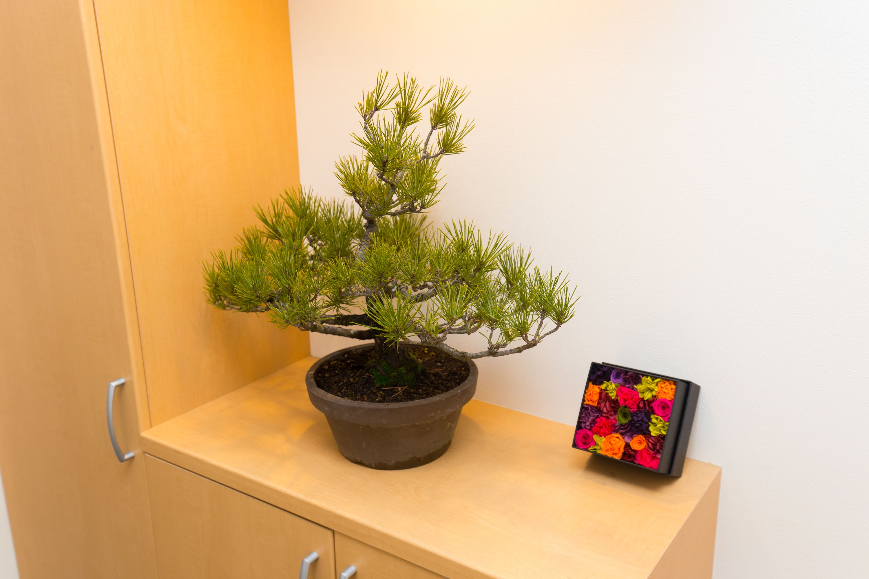 Private Vacation Home | Room amenity