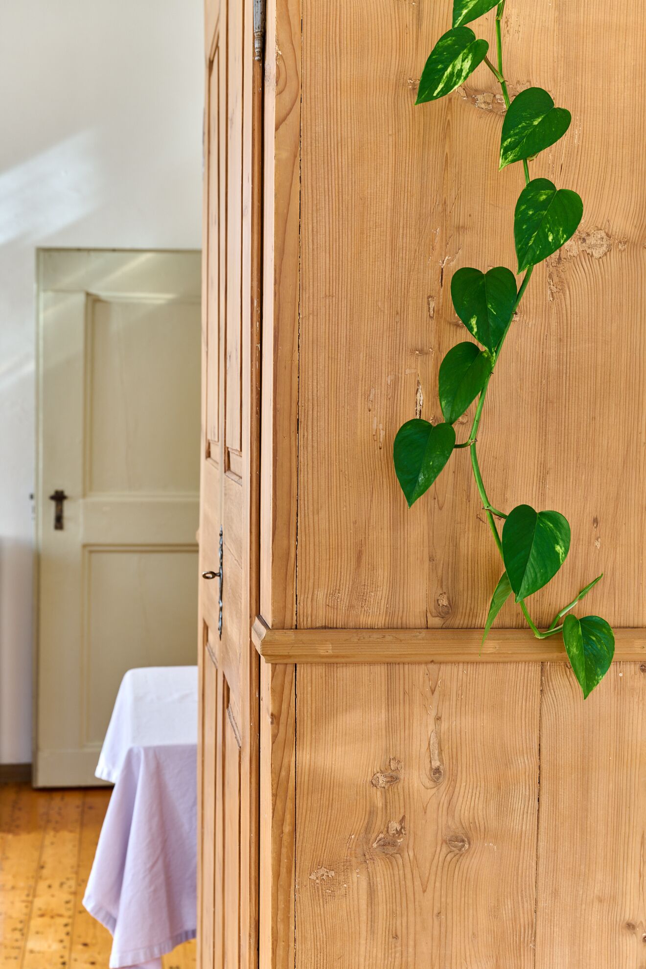 Daily full breakfast (EUR 10 per person)