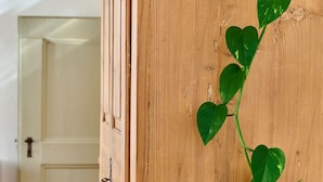 Un mueble de madera con una planta verde creciendo sobre él.