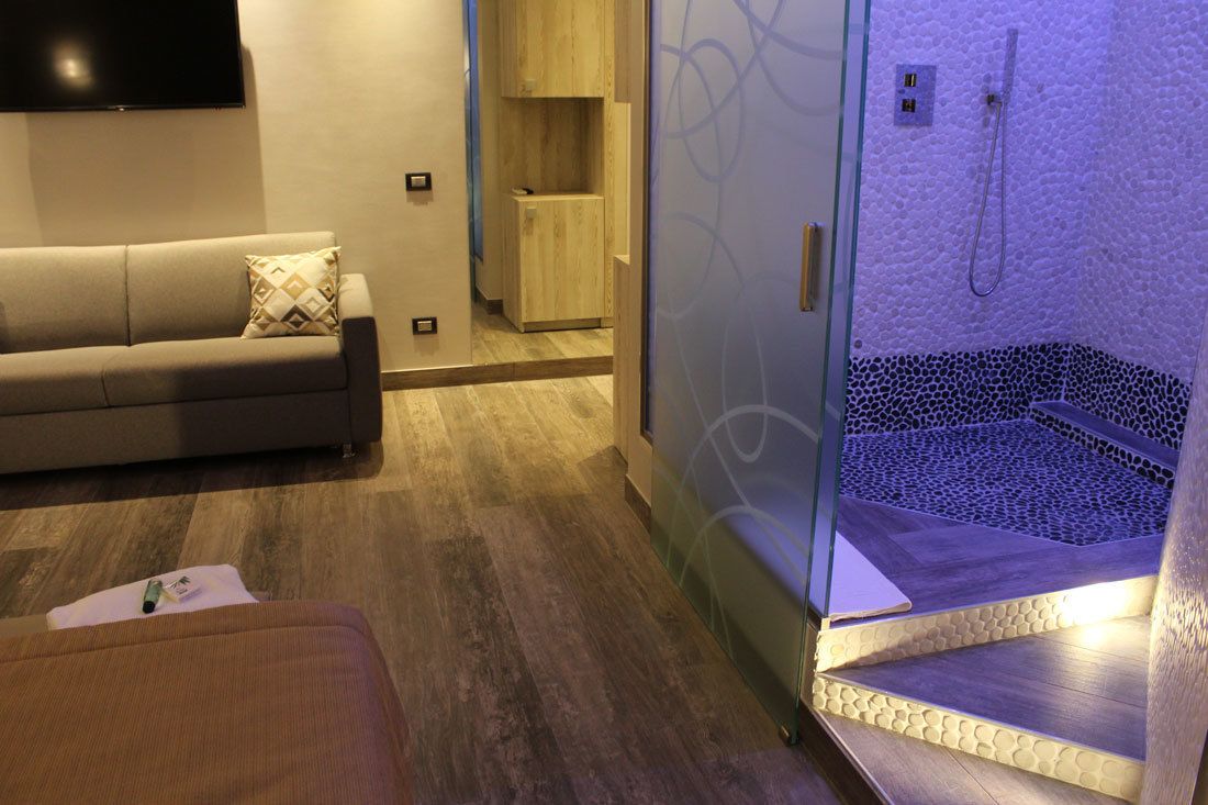 A modern bathroom with a glass shower enclosure, a wooden floor, and a beige sofa in the adjacent living area.