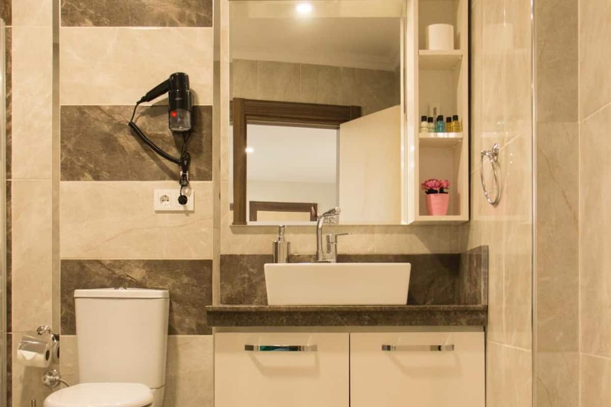 shower, free toiletries, hair dryer, slippers