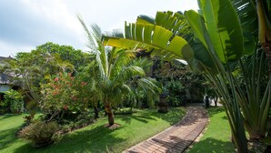 Un jardin agrémenté d’un chemin en briques, d’une végétation luxuriante et de diverses espèces de plantes.