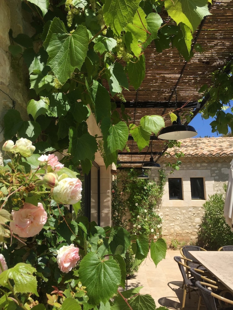 Mas Notre Dame by null