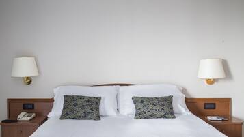 1 camera, una scrivania, tende oscuranti, ferro/asse da stiro