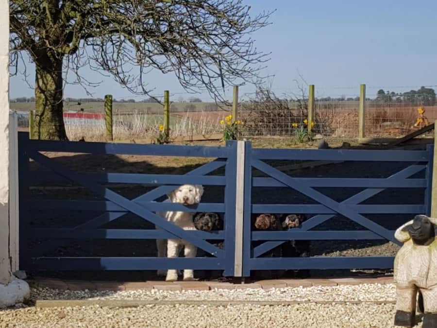 Overnattingsstedets uteområder