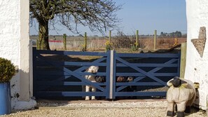 A rural gate with a dog standing behind it, a sheep sculpture to the right, and a tree in the background.