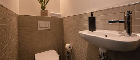 A small bathroom with a toilet, sink, and a potted plant on the wall.