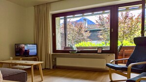 Un salon avec un téléviseur, une fenêtre donnant sur une montagne et des arbres, un radiateur et un fauteuil.