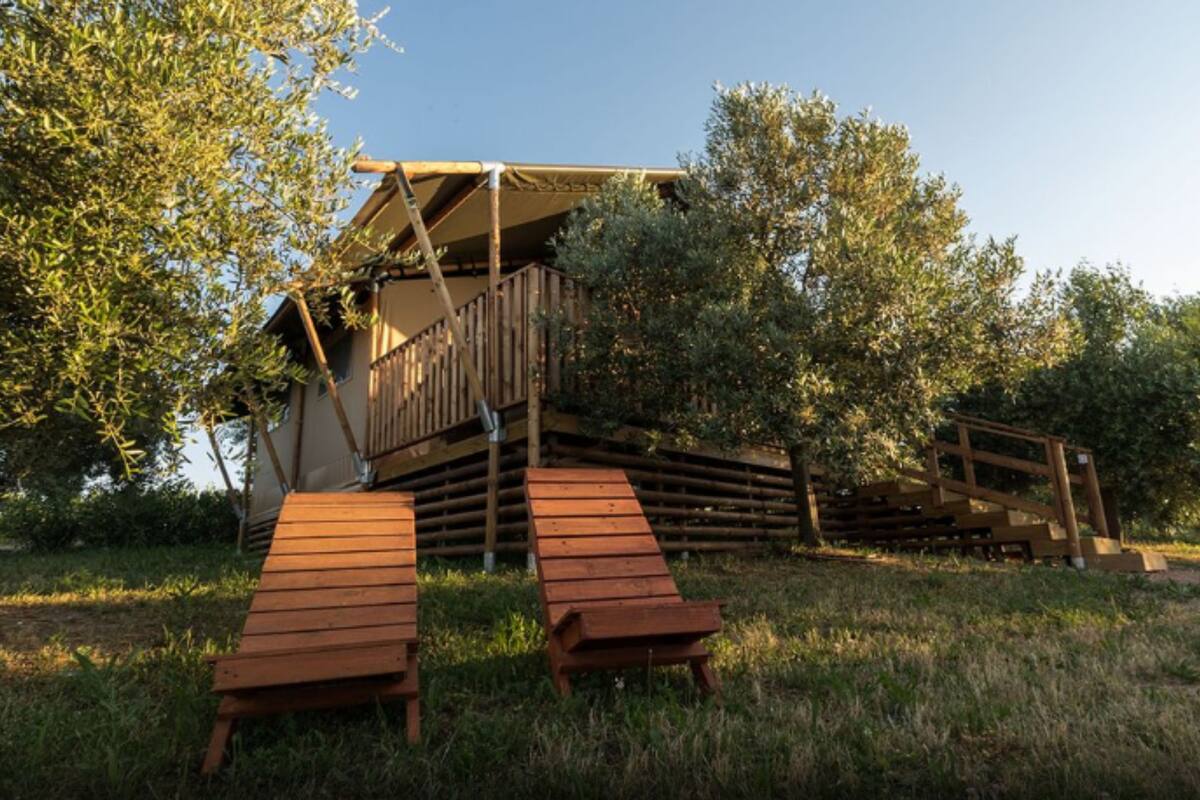 Eine Holzterrasse mit einer Treppe, die zu einer überdachten oberen Ebene führt, umgeben von Bäumen.