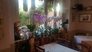 Daily continental breakfast (EUR 5.00 per person)