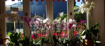 Caffè del Viaggiatore