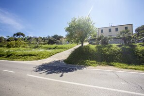 Un camino rural con un sendero arbolado que lleva a un edificio.