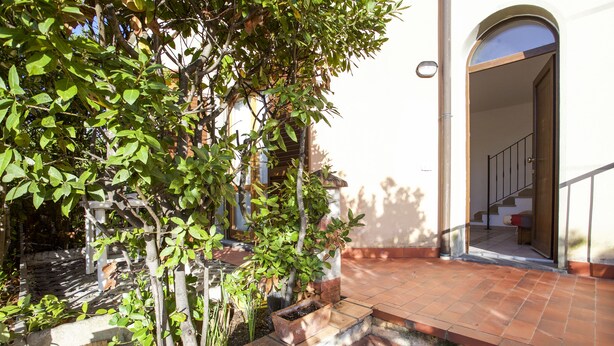 Un patio con un sendero de ladrillo que lleva a una puerta, rodeado de follaje y un pequeño jardín.