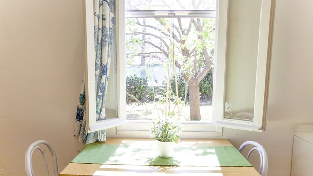 A dining table with a potted plant, two chairs, and a window with curtains. - Appartamento il Mandarino (Portoferraio)