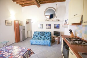 Apartment | Private kitchenette | Fridge, stovetop, cookware/dishes/utensils