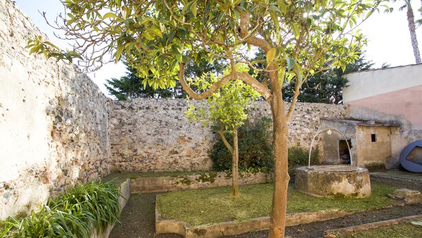 Um pátio com uma árvore, um muro de pedra e uma pequena construção com um elemento de água.