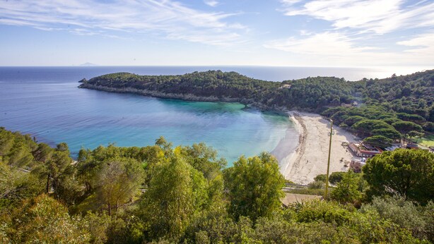 Un paysage côtier avec une plage, des collines boisées et un ciel dégagé.