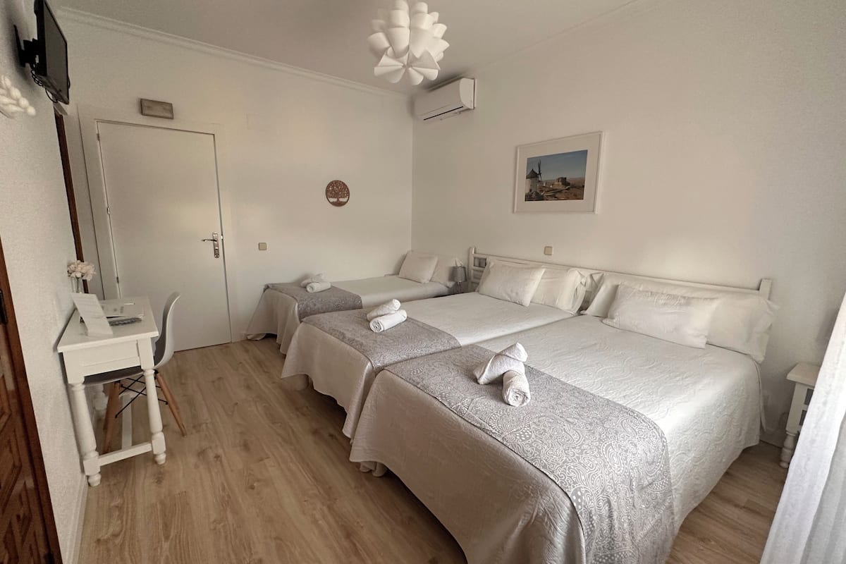 Tripla Classic | 9 camere, copriletto in piuma, una scrivania, ferro/asse da stiro