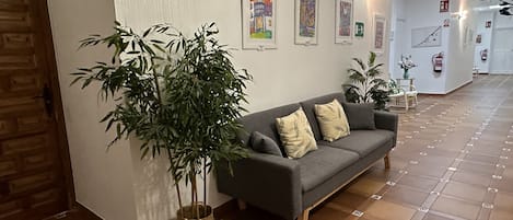 A hallway with a grey sofa, a large potted plant, and framed artwork on the wall.