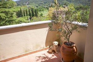 Apartment | Ausblick vom Zimmer