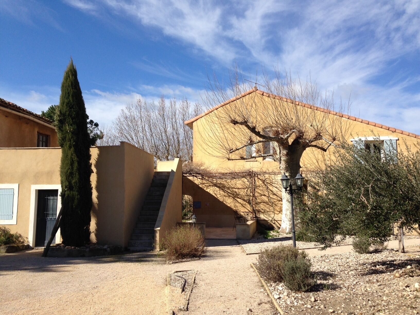 A building with a staircase leading to a door, a tree in front, and a clear sky.
