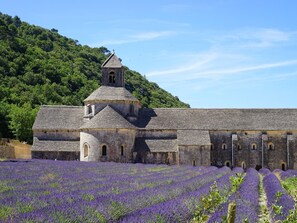 A historic stone building with a bell tower, surrounded by a lavender field. - Clos St Pierre de Fraisse (Avignon)