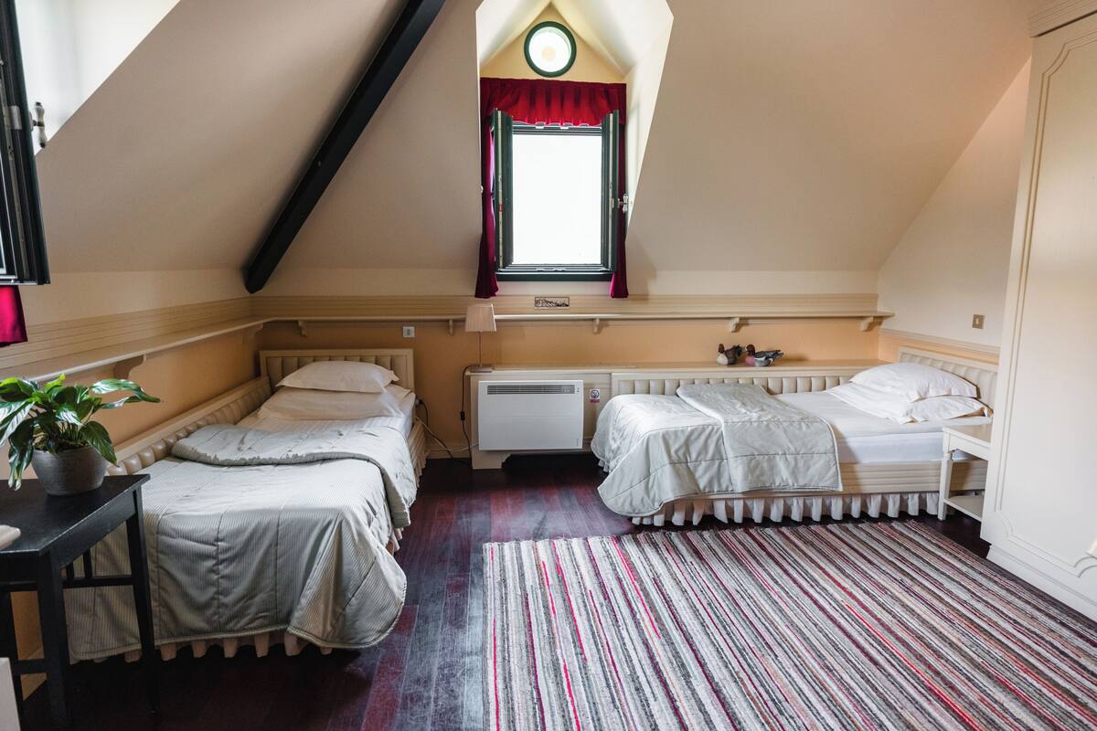 A bedroom with two beds, a radiator, a window with curtains, a striped rug, and a potted plant.