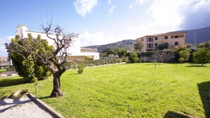 Une zone herbeuse avec un arbre et un bâtiment en arrière-plan.