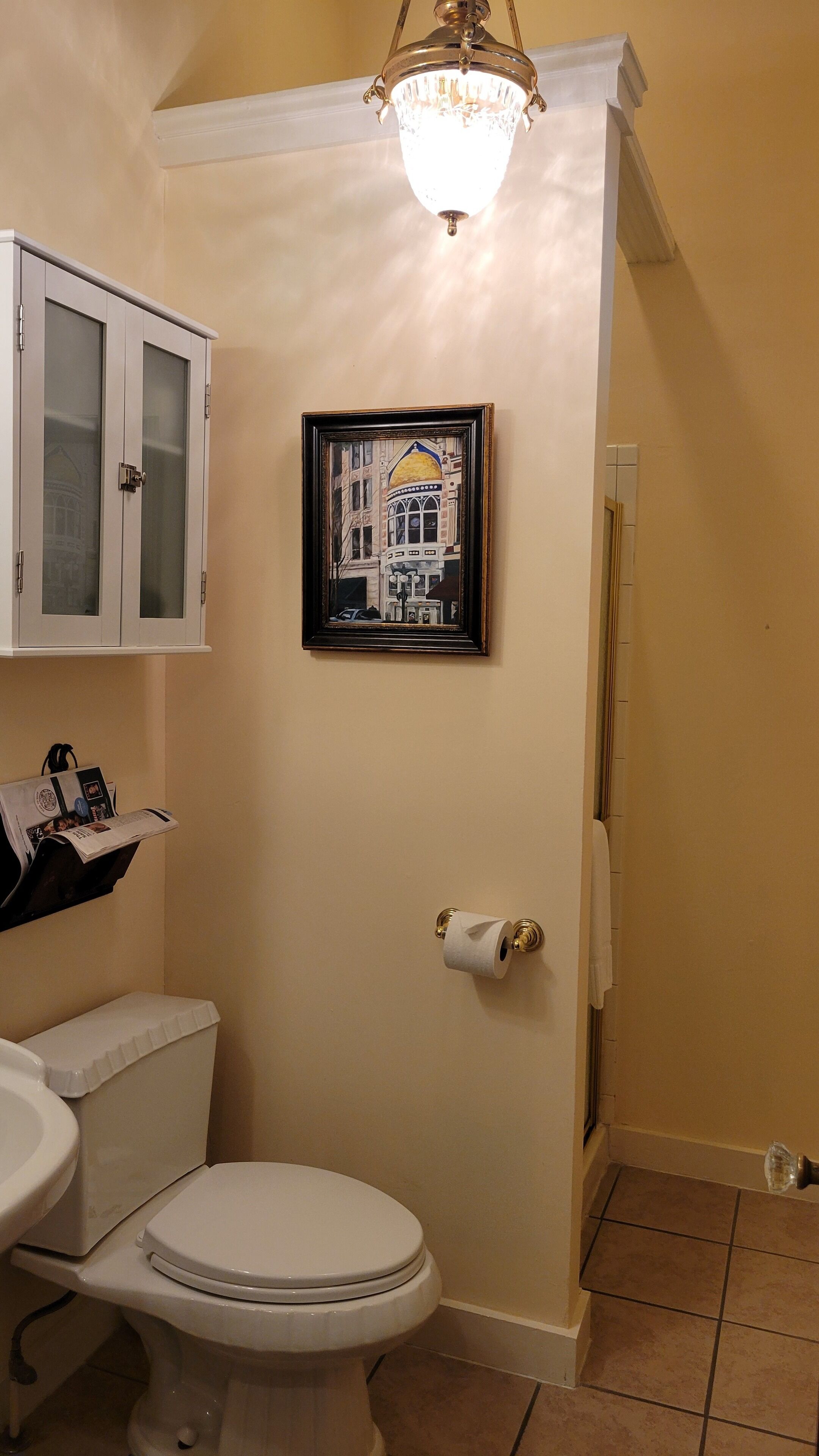 A bathroom with a toilet, a framed picture on the wall, a cabinet with frosted glass doors, and a hanging light fixture.