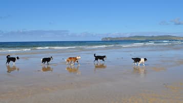 Beach nearby