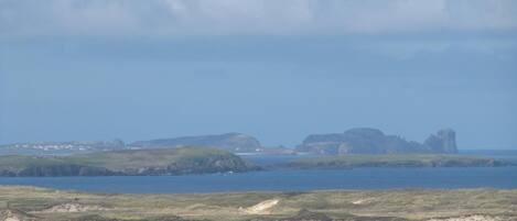 A coastal landscape with grassy areas, a body of water, and distant rocky formations.
