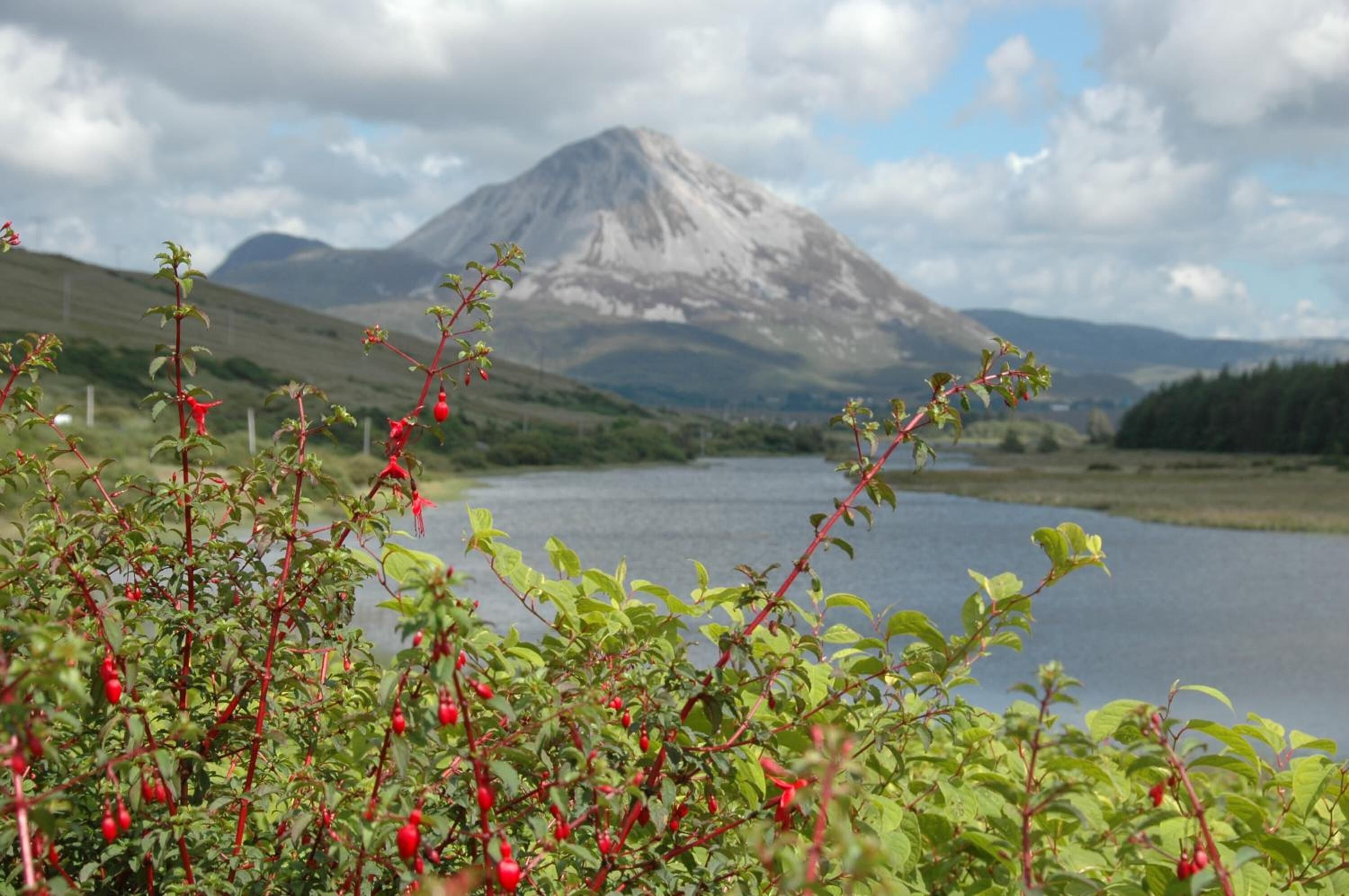 Un paysage de montagne avec un lac au premier plan et une montagne en arrière-plan.
